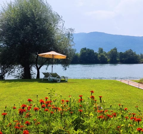 Spring, Natural landscape, Garden, Garden view, Lake view, River view