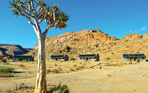 Natural landscape