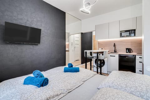 Bed, TV and multimedia, Kitchen or kitchenette, Photo of the whole room, Bedroom, stove