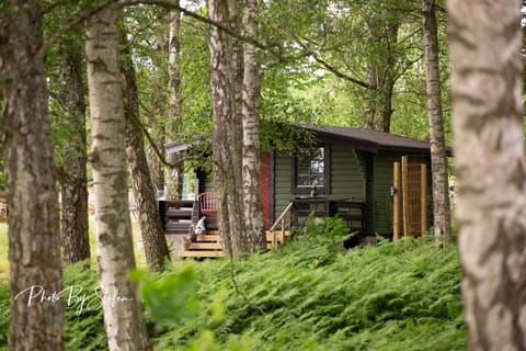 Property building, Natural landscape
