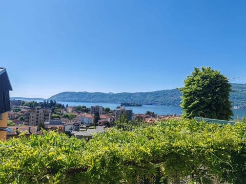 Day, Natural landscape, Garden, View (from property/room), City view, Garden view, Lake view, Landmark view, Mountain view