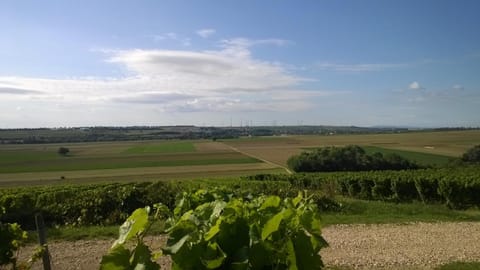 Natural landscape, View (from property/room)