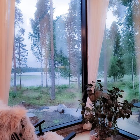 Villa Kokkoranta - Lake house with the View Apartment in Finland