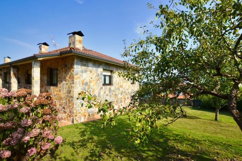 Property building, Garden, Garden view