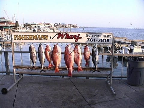 Short Walk to Beach 2 House in South Padre Island