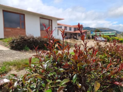 Property building, Natural landscape, Garden view