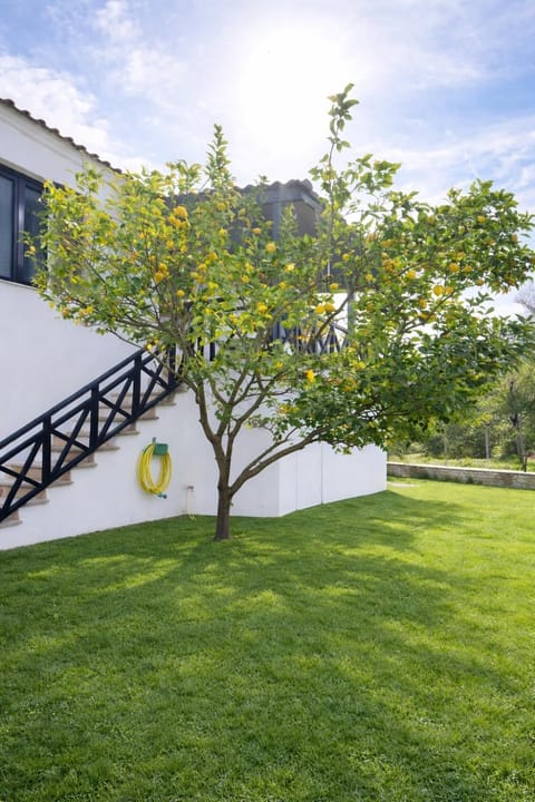 Property building, Spring, Day, Natural landscape, Garden view