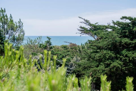 Sea view