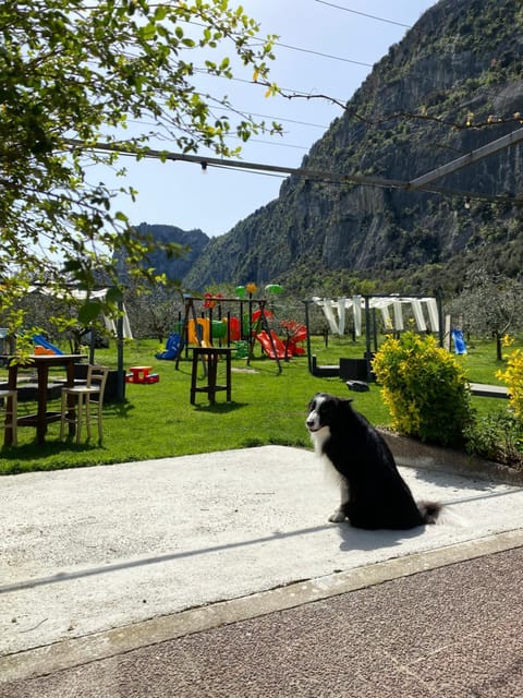 Natural landscape, Children play ground, Pets