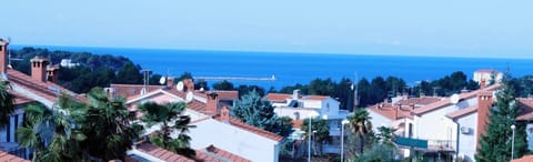Garden view, Sea view, Street view