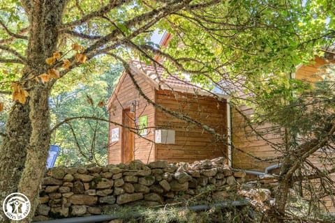 Property building, Spring, Garden