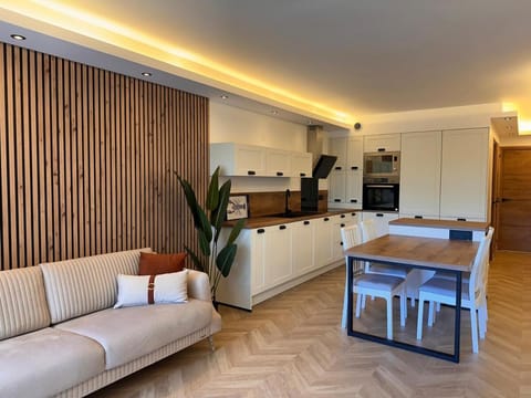 Kitchen or kitchenette, Living room, Dining area, stove