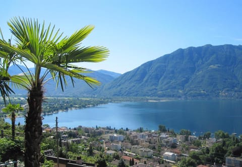 Lake view