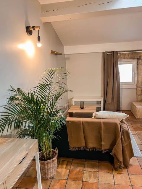 Studio cosy Villefranche-Sur-Saône Apartment in Villefranche-sur-Saone