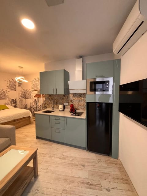 Bed, Kitchen or kitchenette, Photo of the whole room, microwave, air conditioner