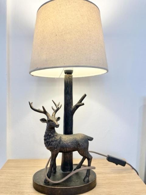 Single room in 3 bedroom house Vacation rental in Edinburgh