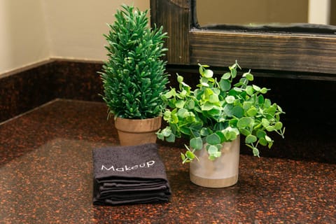 Hidden Cabin - Adventure Awaits! Cabin in Gainesville