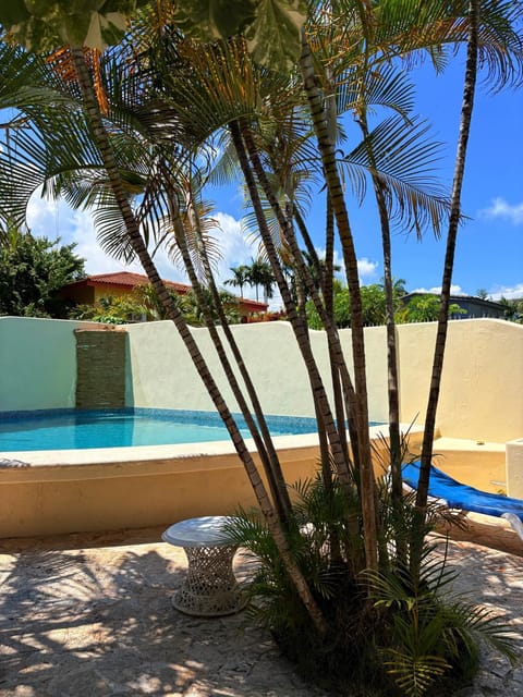 Day, Natural landscape, Garden, Garden view, Pool view, Swimming pool
