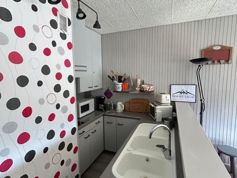 Appartement rénové cosy au centre de Super Besse - FR-1-814-119 Apartment in Besse-et-Saint-Anastaise