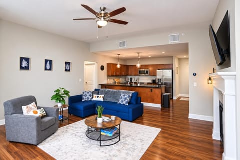 TV and multimedia, Kitchen or kitchenette, Living room, Seating area, fireplace