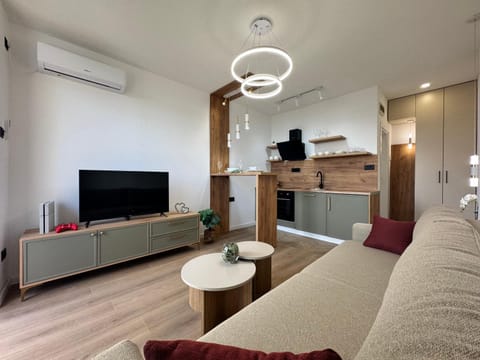 TV and multimedia, Kitchen or kitchenette, Living room, Seating area, air conditioner