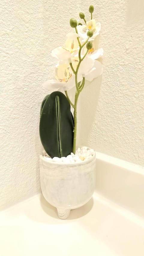 Charming & Stylish in Mid-Town House in Mobile