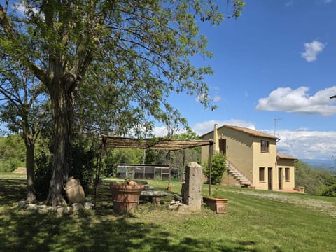 Property building, Patio, Day, Garden