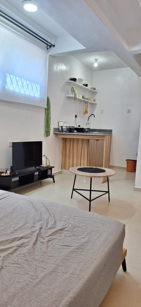 Bed, TV and multimedia, Kitchen or kitchenette, Living room, Photo of the whole room, Seating area, Bedroom