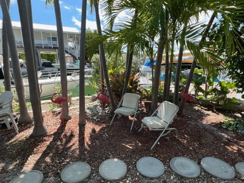 Garden, Garden view, Inner courtyard view