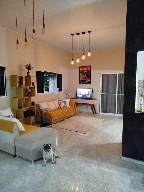 Communal lounge/ TV room, Living room