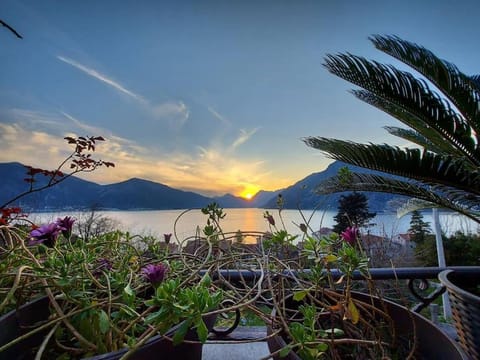 Apartment Terazza Di Ljuta Apartment in Dobrota