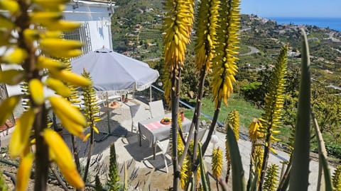 Spring, Day, Balcony/Terrace