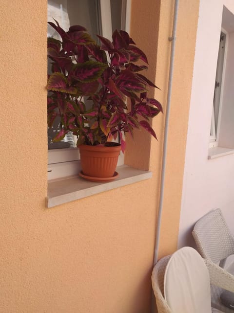 Nonette Apartment in Korčula