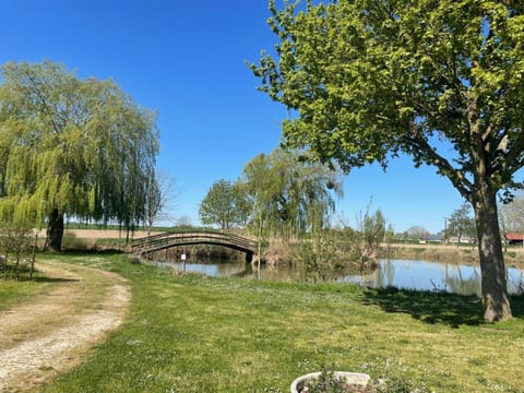 Natural landscape, Lake view, River view