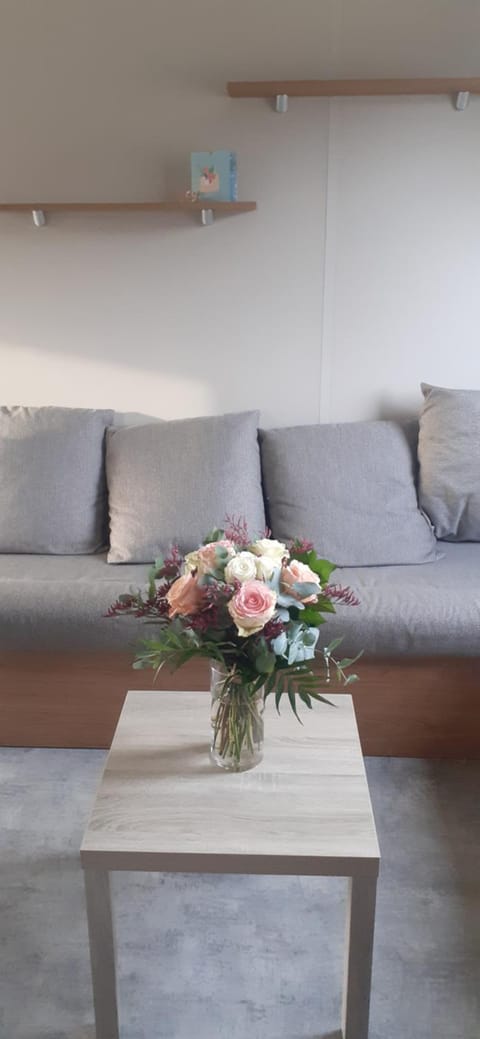 Mobil-home 28 m2, 2 chambres et terrasse Campground/ 
RV Resort in Douarnenez