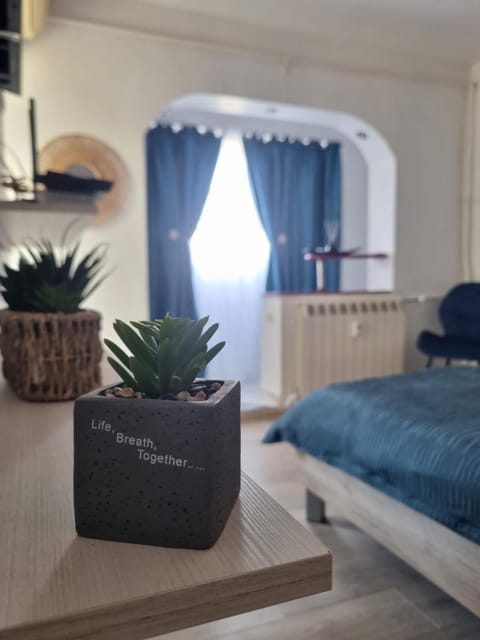 Studio Romanescu Centru S 9 Apartment in Craiova