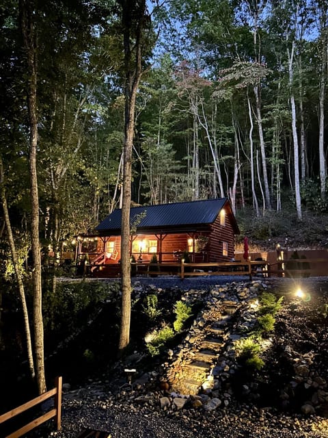 Property building, Night, Natural landscape, Garden view