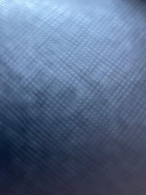 Rien Villa in Antwerp