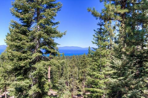 HCH1239 - Heavenly Tree House home House in South Lake Tahoe