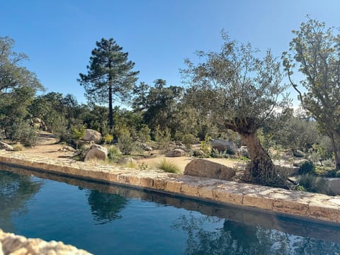 Natural landscape, Garden view, Swimming pool