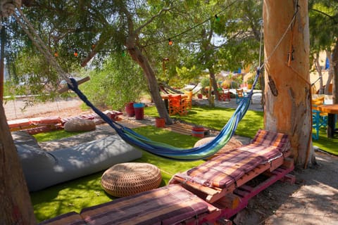 Property building, Day, Garden, Garden view