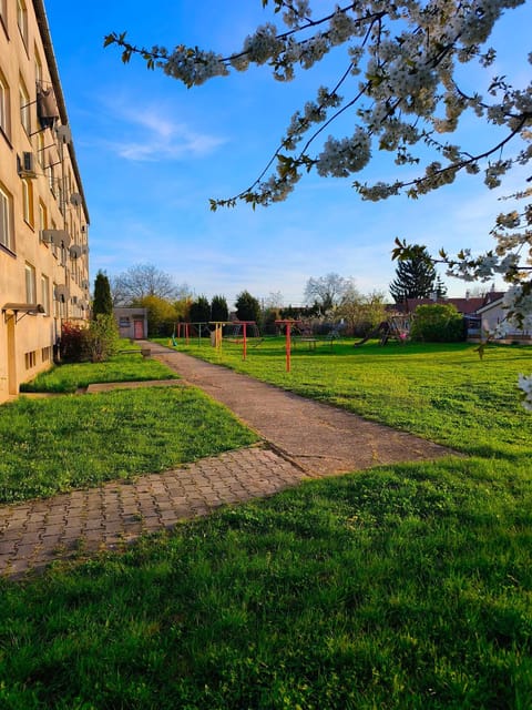 Spring, Natural landscape, Children play ground, Children play ground