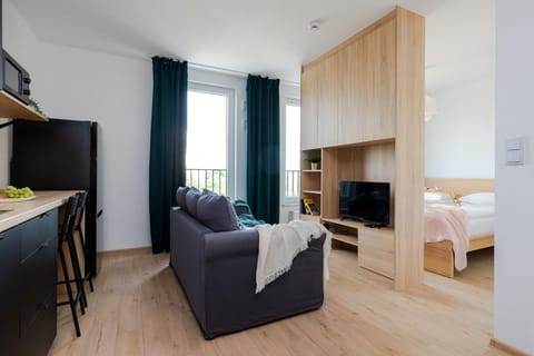 Bed, TV and multimedia, Kitchen or kitchenette, Living room, Photo of the whole room, Seating area