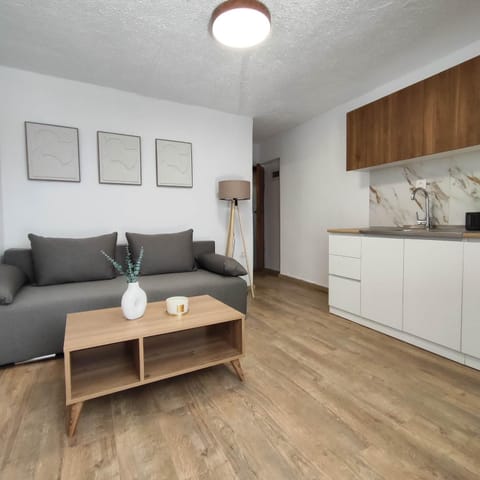 Kitchen or kitchenette, Living room, Seating area