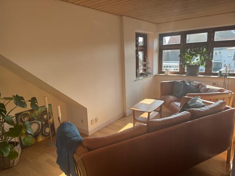 Svane's Air-bnb Vacation rental in Central Denmark Region