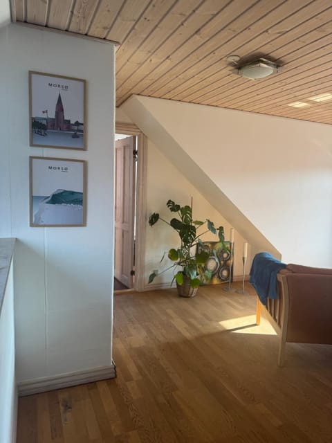 Svane's Air-bnb Vacation rental in Central Denmark Region