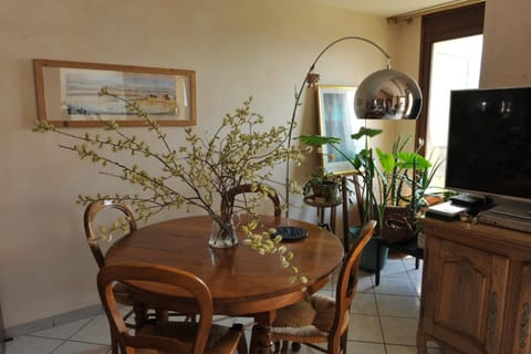 L'Alizée - Terrace overlooking the lake Apartment in Tresserve