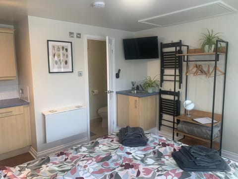 Shower, Toilet, Bed, TV and multimedia, Bedroom, Area and facilities