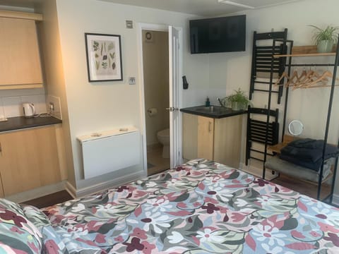 Shower, Toilet, Bed, TV and multimedia, Bedroom