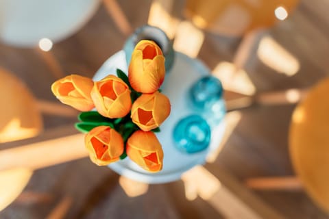 Food and drinks, Food, Breakfast, Continental breakfast